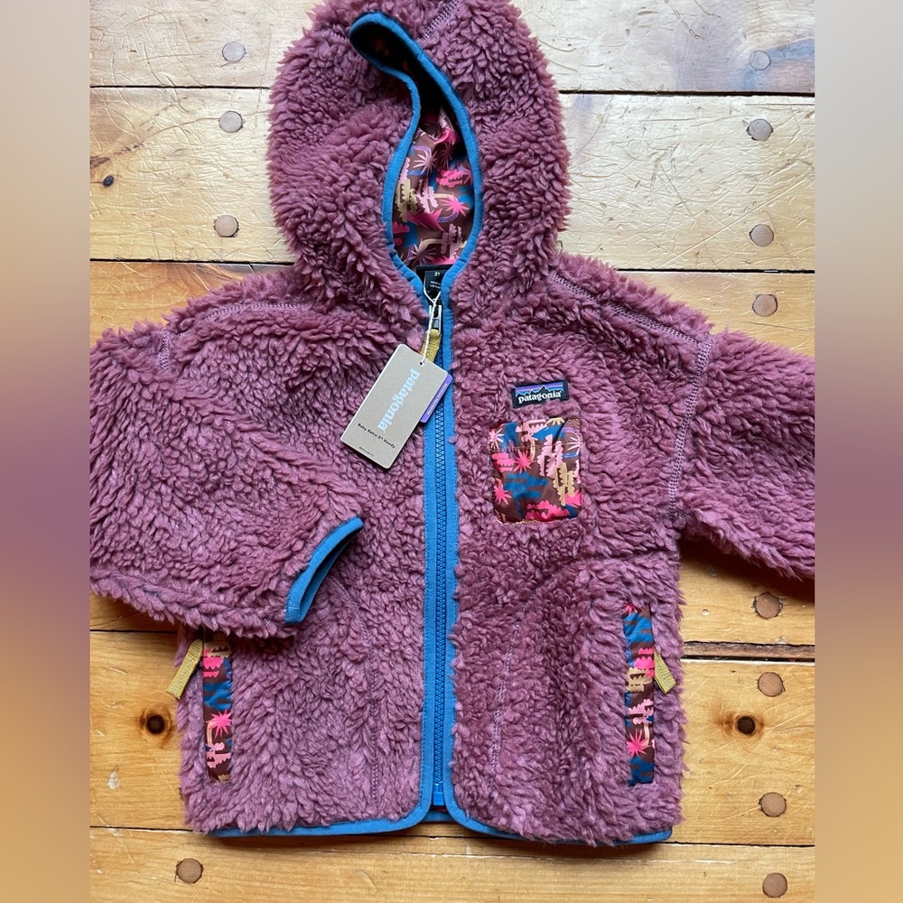 Patagonia 2T retro X jacket with hood